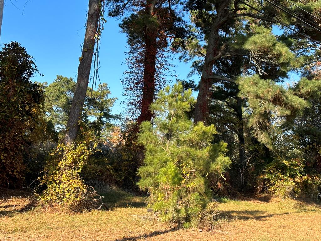 Listing Photo 63775