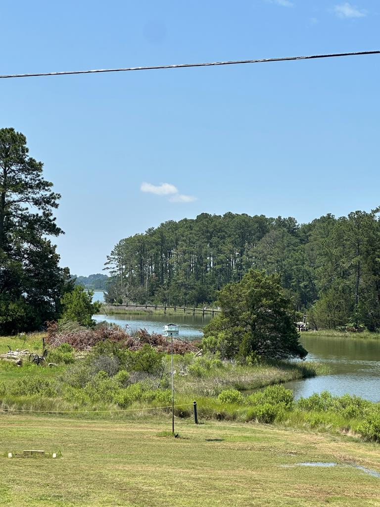 Listing Photo 64544